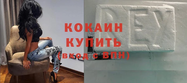 стафф Алексин