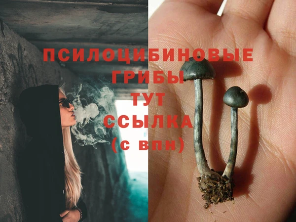 кокс Алексеевка