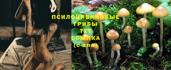 кокс Алексеевка