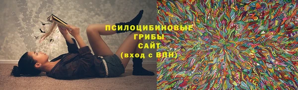 амф Алзамай