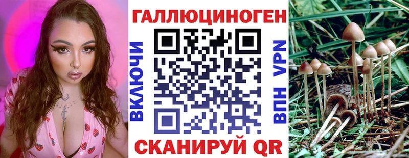 Псилоцибиновые грибы GOLDEN TEACHER Мариинск